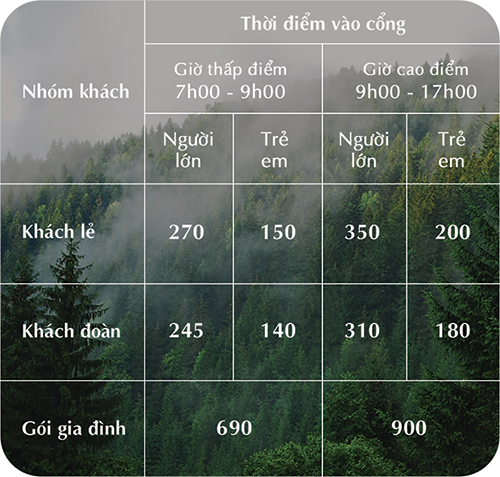 Bảng giá dịch vụ High rope course