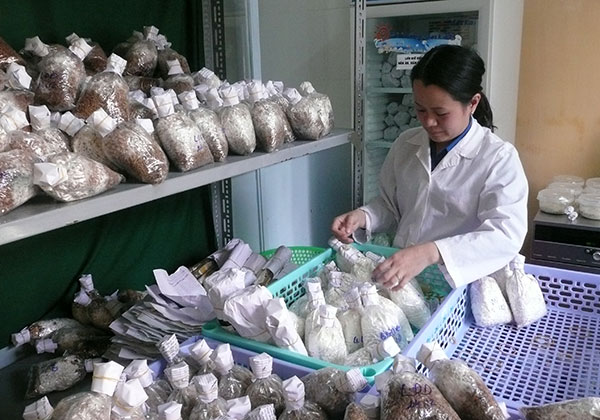 Để đội ngũ trí thức phát huy năng lực