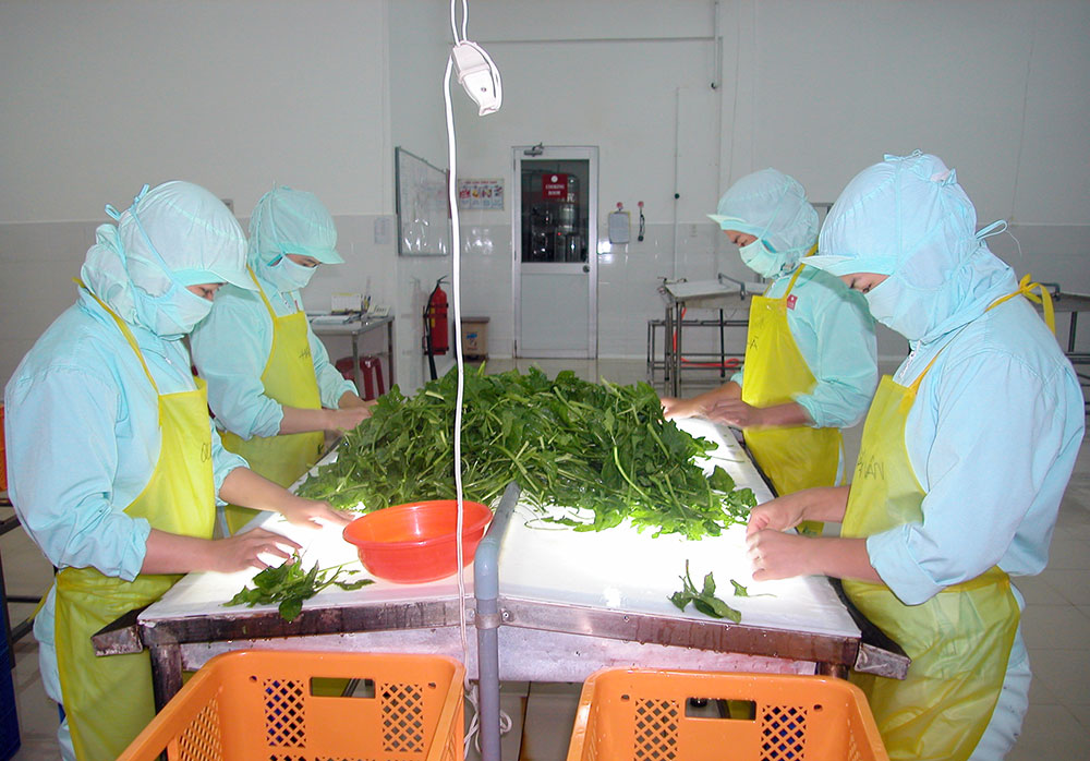 Đơn Dương với chương trình tái cơ cấu nền kinh tế