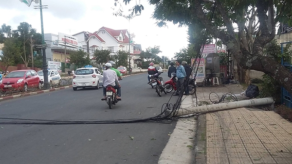 Đà Lạt: Xe tải lao vào đường cấm, kéo gãy trụ điện hạ thế