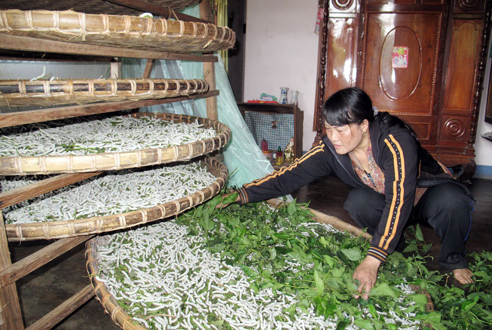 5 năm phong trào phụ nữ huyện Lâm Hà