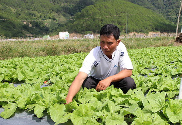 Ya Dũng - người trẻ uy tín của Labouye A