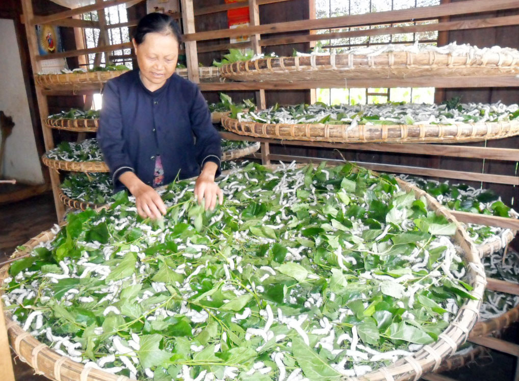 Quỹ hỗ trợ đồng hành cùng phụ nữ nghèo