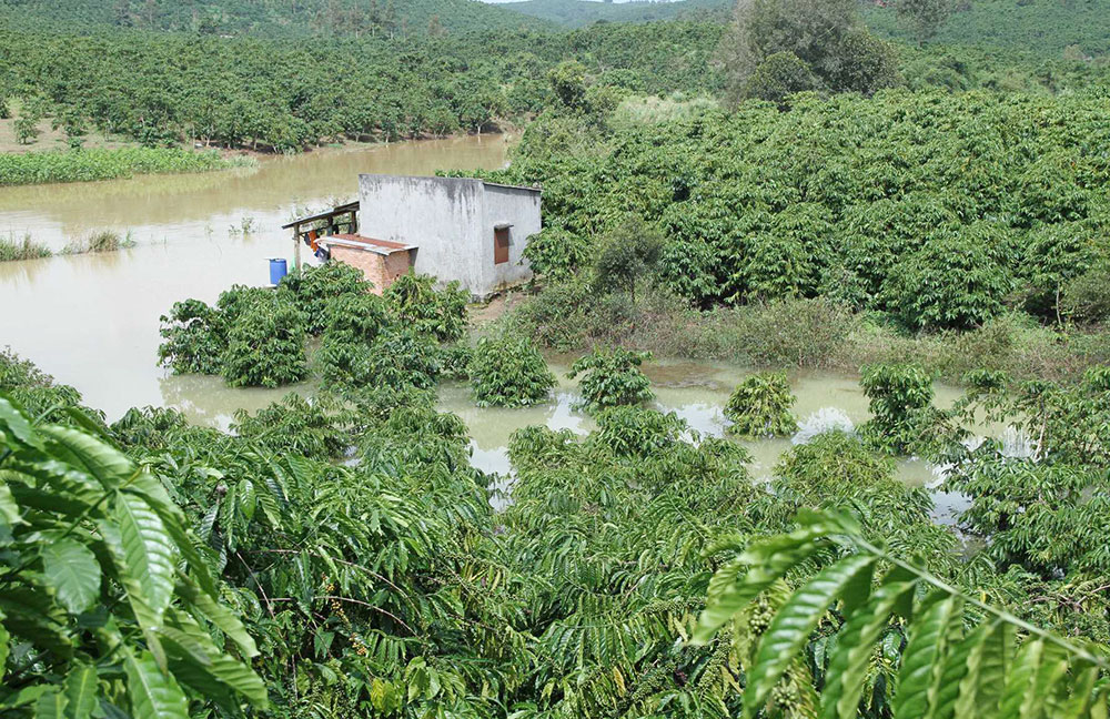 Đình chỉ thi công Thủy điện Đại Bình