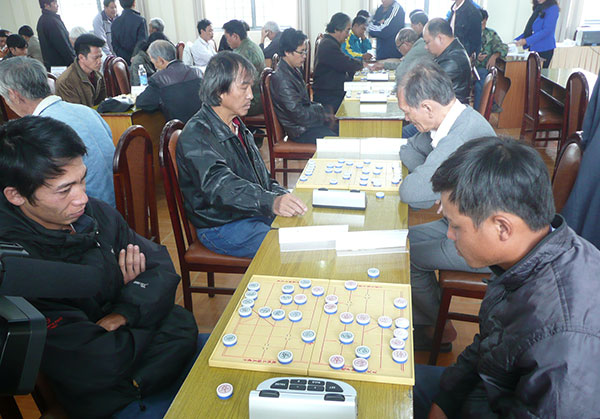 Vui như hội cờ
