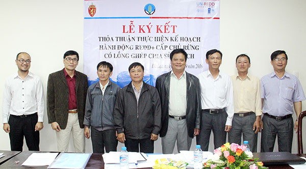 Thực hiện Kế hoạch hành động REDD+ tại BQL rừng phòng hộ