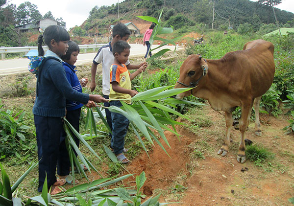 Nơi thiếu ánh trăng rằm