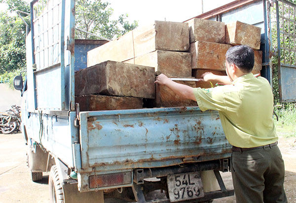 Rừng ở Đạ Tẻh: Vi phạm giảm nhưng vẫn diễn biến phức tạp