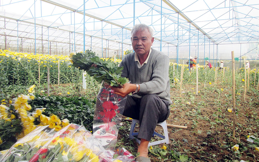 Người cựu thanh niên xung phong và giấc mơ về một làng hoa