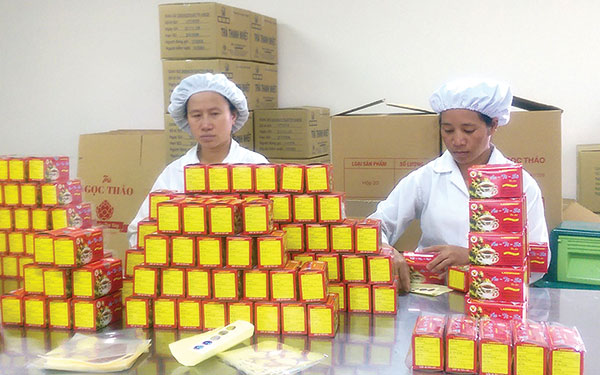 Lãnh đạo doanh nghiệp phát triển bền vững