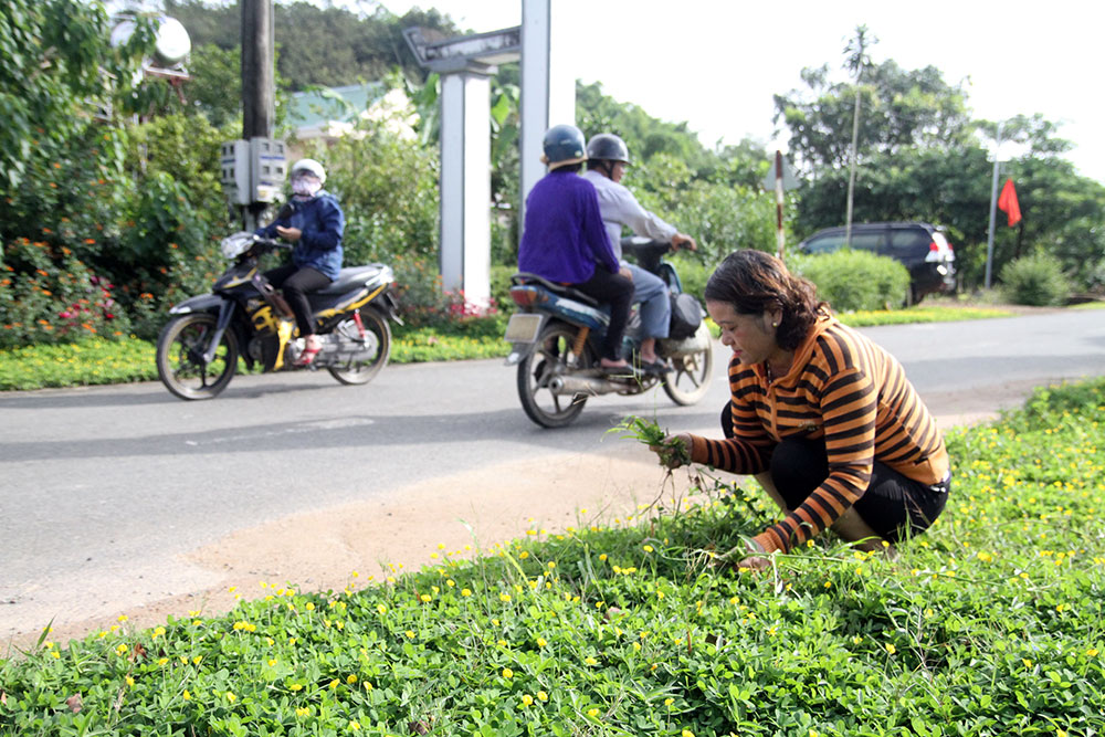 Xây dựng khu dân cư kiểu mẫu, nâng cao môi trường sống