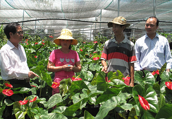 Từ Vùng kinh tế mới Hà Nội đến trù phú Lâm Hà