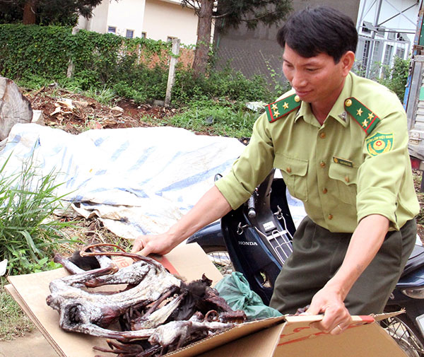 Cấp bách phòng ngừa và đấu tranh với hành vi xâm phạm động vật hoang dã