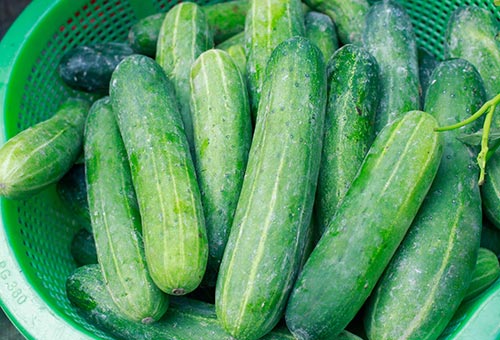 6 không khi ăn dưa chuột, gia đình Việt nào cũng phải biết