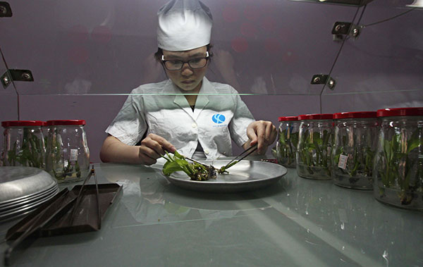 &quot;Siêu phẩm&quot; invitro