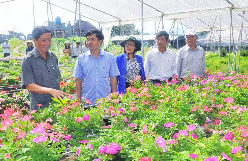 Phó Bí thư Thường trực Tỉnh ủy Trần Đức Quận làm việc tại huyện Bảo Lâm