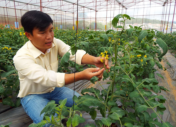 Nhà khoa học của rau, hoa