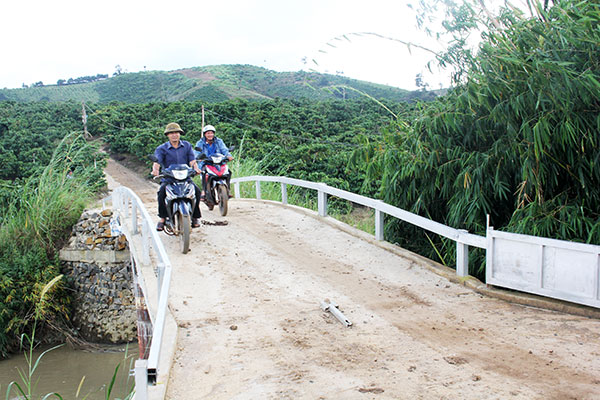 Cây cầu làm từ sức dân