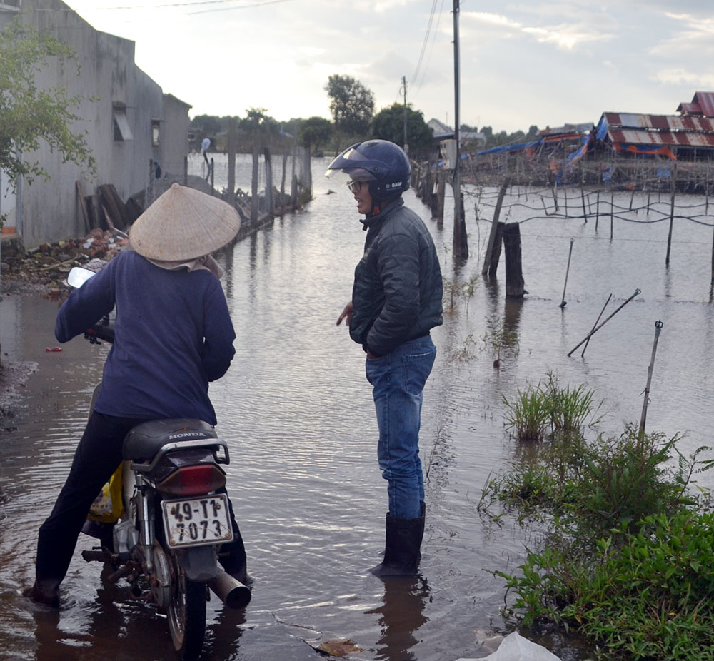 Hàng năm cứ vào mùa mưa người dân tổ 58, thị trấn Liên Nghĩa lại bị nước hồ Nam Sơn dâng ngập hoa màu, nhà cửa