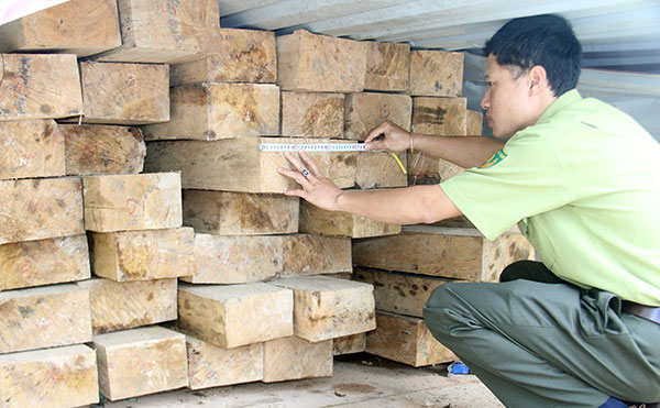 Ðơn Dương tăng cường quản lý, bảo vệ rừng và trồng cây xanh
