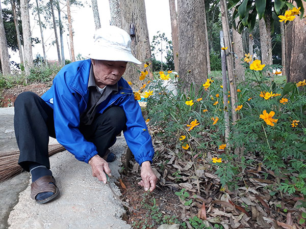 Người làm đẹp cho Mai Hoa Thôn