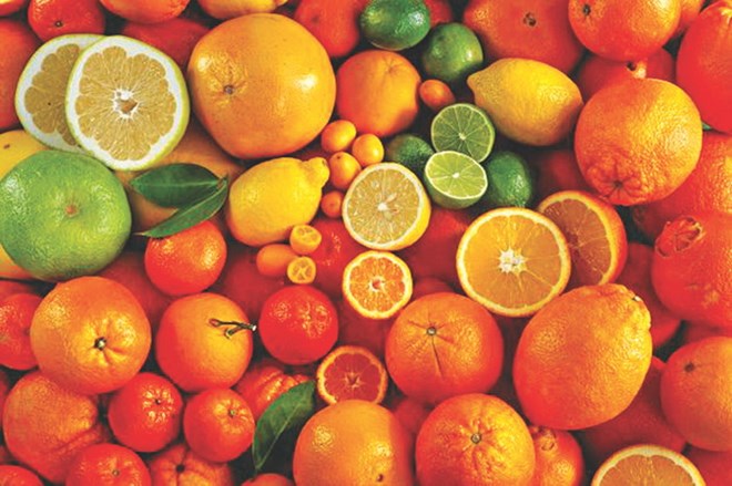 Bệnh Scurvy xuất hiện trở lại ngày càng nhiều do ăn ít dinh dưỡng