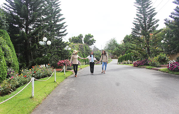 Không gian đường hoa đẹp