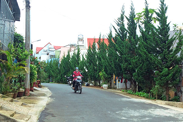 Xây dựng đường đô thị văn minh kiểu mẫu