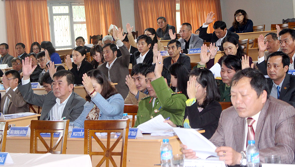 Cử tri quan tâm vấn đề nông nghiệp, du lịch của Đà Lạt trong chất vấn và trả lời chất vấn