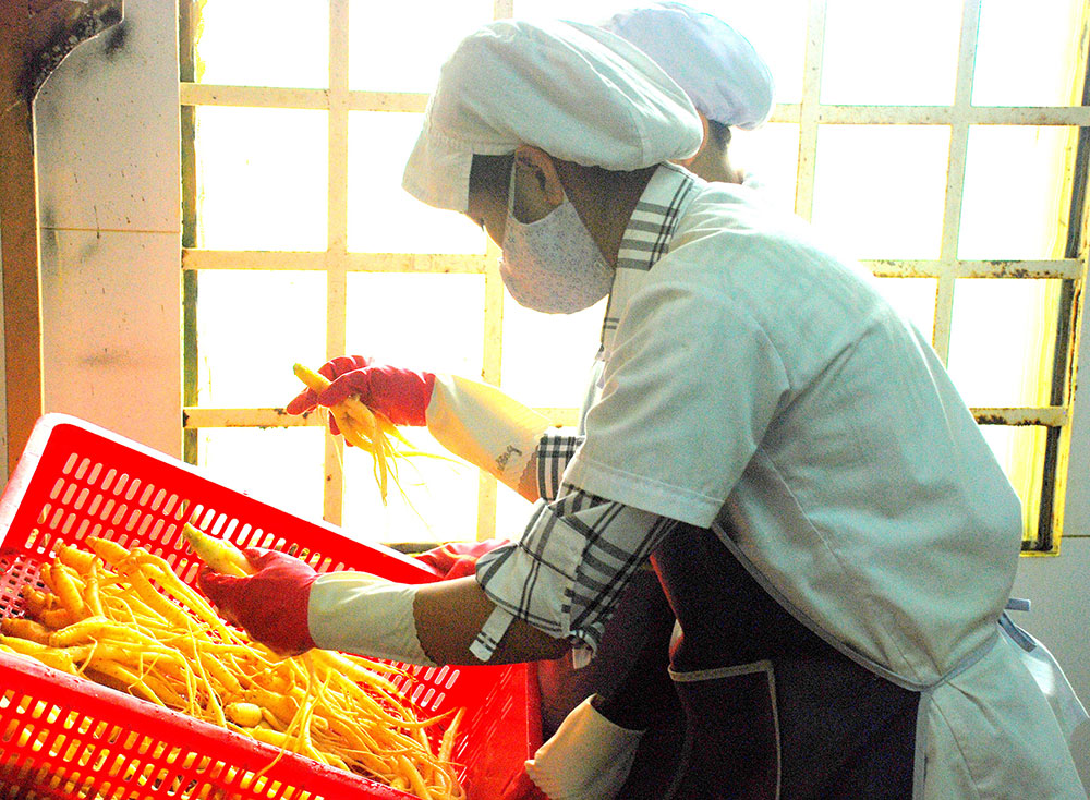 Đảng sâm bước ra từ Sách đỏ