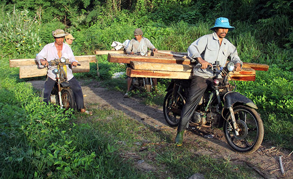 Quản lý bảo vệ rừng luôn là nhiệm vụ chính trị quan trọng