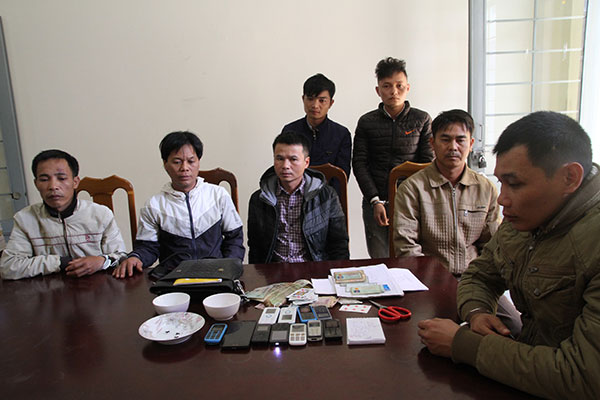 Bắt ổ bạc giữa vườn cà phê