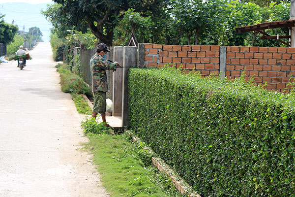 Những con đường xanh - sạch - đẹp