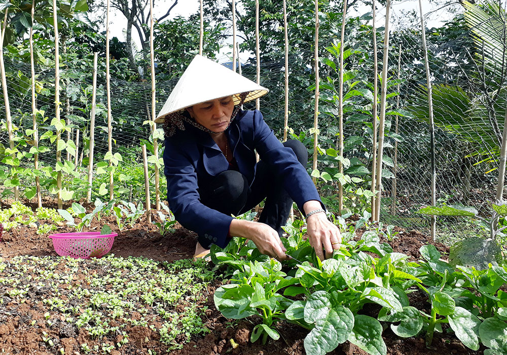Thay đổi nhận thức để bảo vệ môi trường