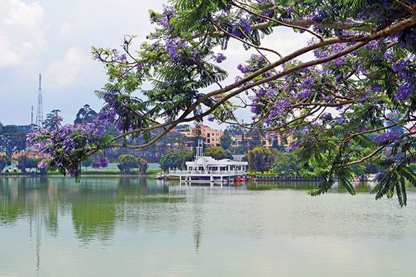 Đà Lạt đẹp bốn mùa hoa