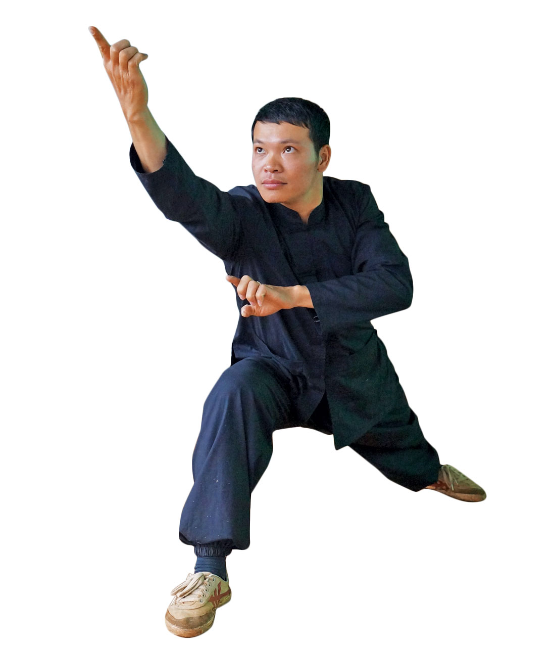 Hùng kê quyền trong võ Việt