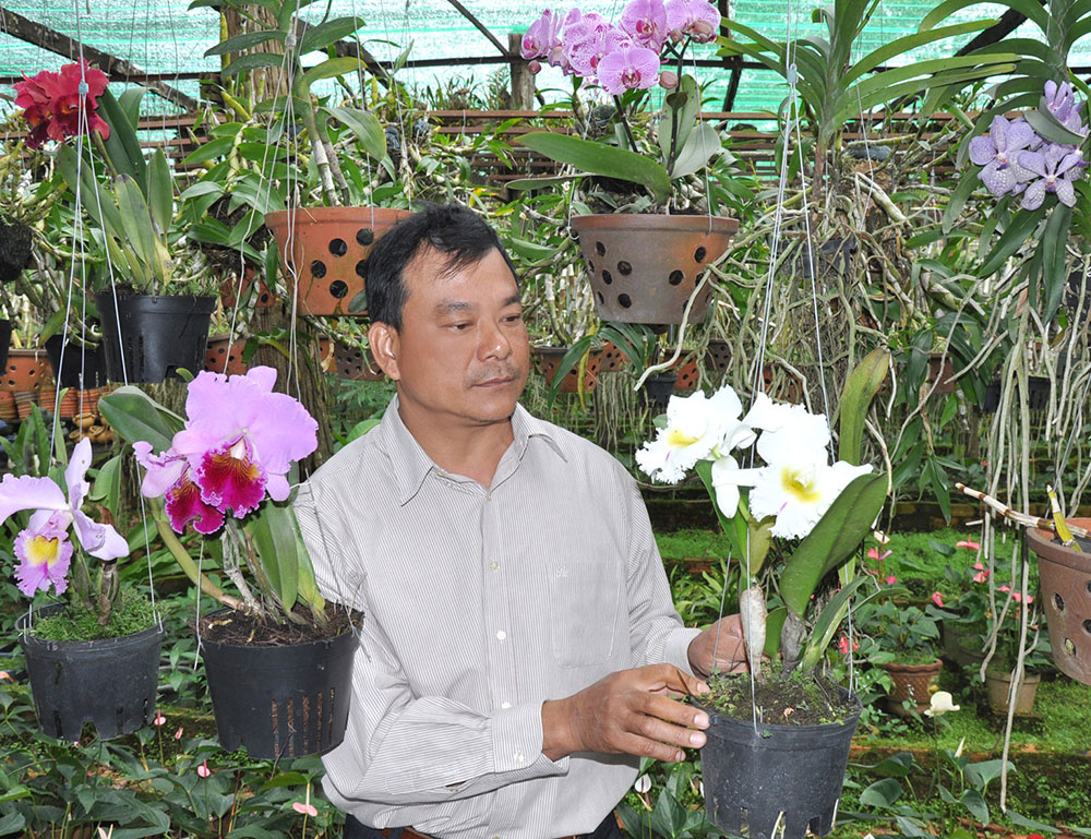 Ông Nguyễn Văn Cường bên những giỏ lan rừng trổ bông đúng dịp Tết. Ảnh: B.T