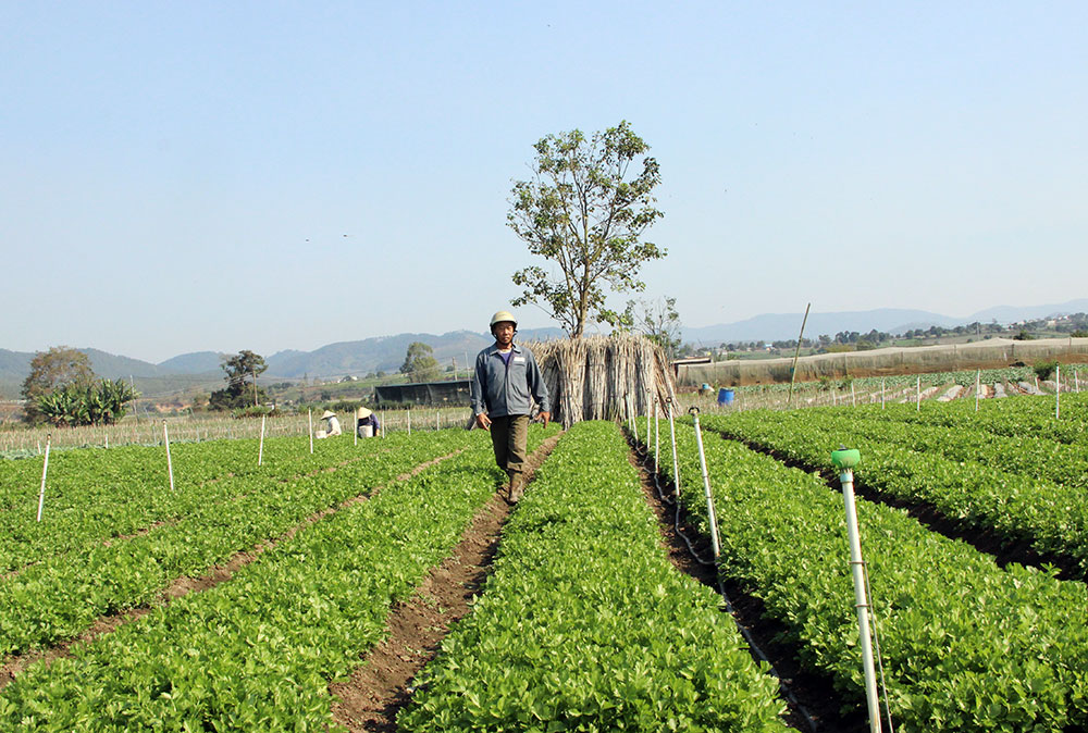 Nỗ lực trong công tác phát triển đảng viên ở Lạc Lâm