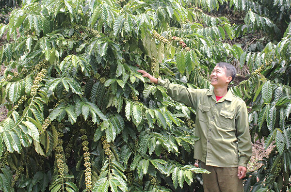 Đất cằn nở hoa