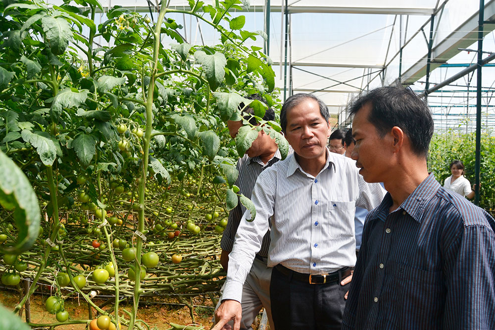 Bộ mặt nông thôn, đời sống nông dân thay đổi rõ rệt