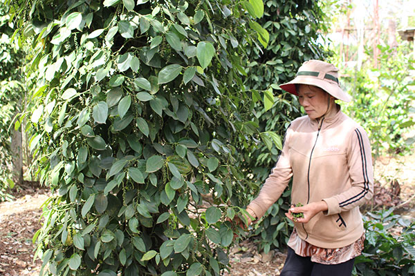 Vượt lên tật nguyền