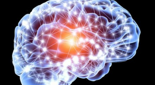 Não người sản sinh ra chất độc hại làm cơ thể chết dần