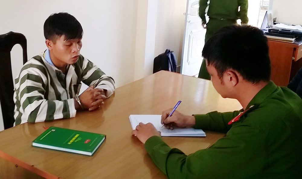 Khởi tố thanh niên trộm 6 con trâu tại Đơn Dương
