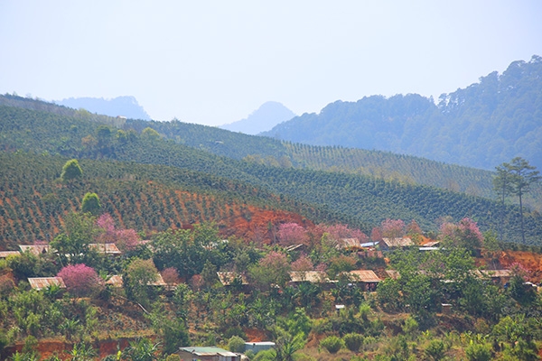 Lễ hội trong lòng dân!