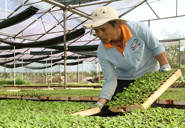 Thi đua yêu nước từ những việc làm nhỏ nhất