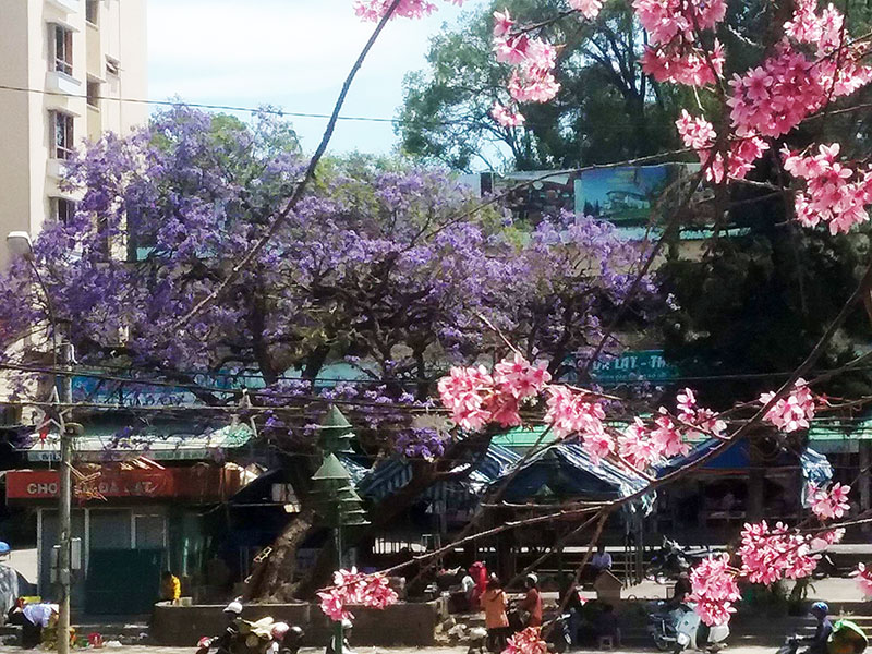 Cuộc hội ngộ tháng Ba…
