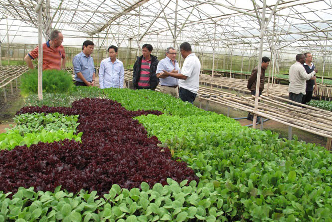 Đảm bảo an toàn thực phẩm còn nhiều việc phải làm