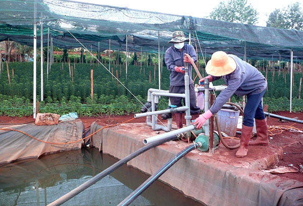 Những người chung tay vì cộng đồng