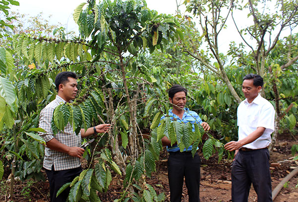 Đảng viên vùng nông thôn giúp nông dân phát triển kinh tế
