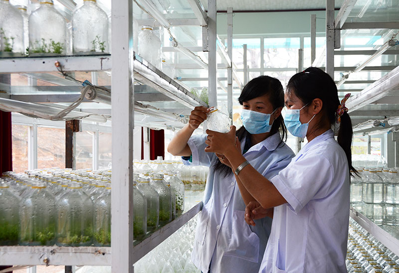 Lâm Đồng phát triển nguồn nhân lực chất lượng cao